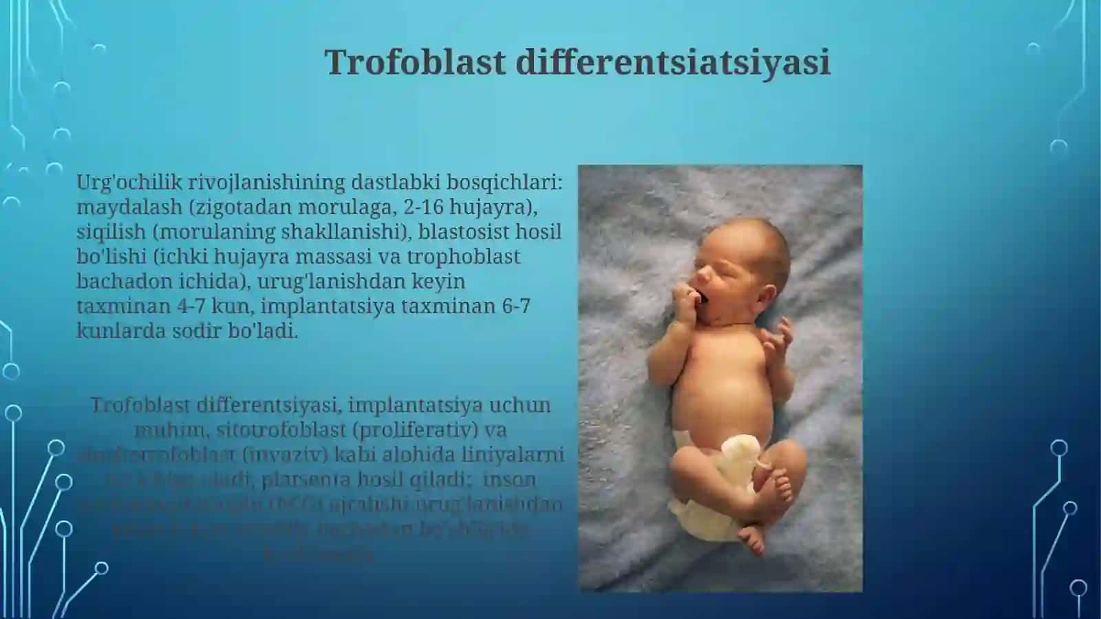 Proembrional rivojlanishning umumiy qonuniyatlari 3