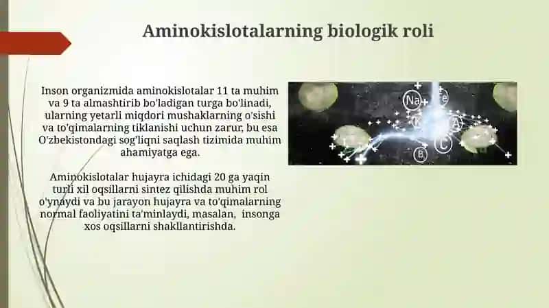 Aminokislotalar. Tuzilishi va xossalari, biologik xususiyatlari 3