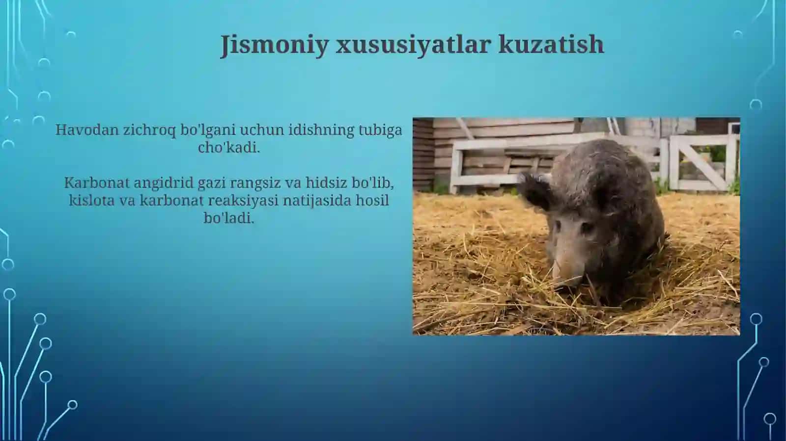 Amaliymashgʻulot-1Uglerodturtoksidiolishvauningxossalaribilantanishish 3