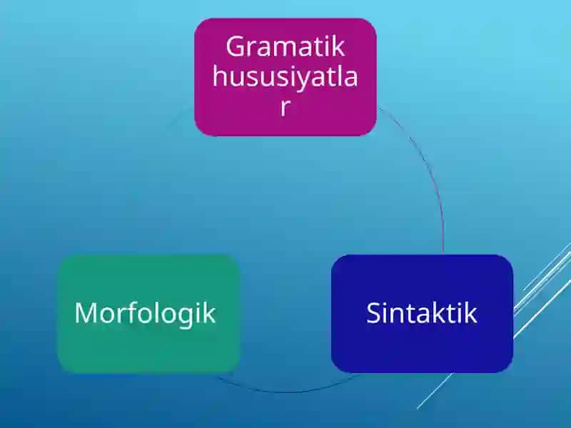 Ot so’z turkumi. Otning grammatik ma’nosi 3