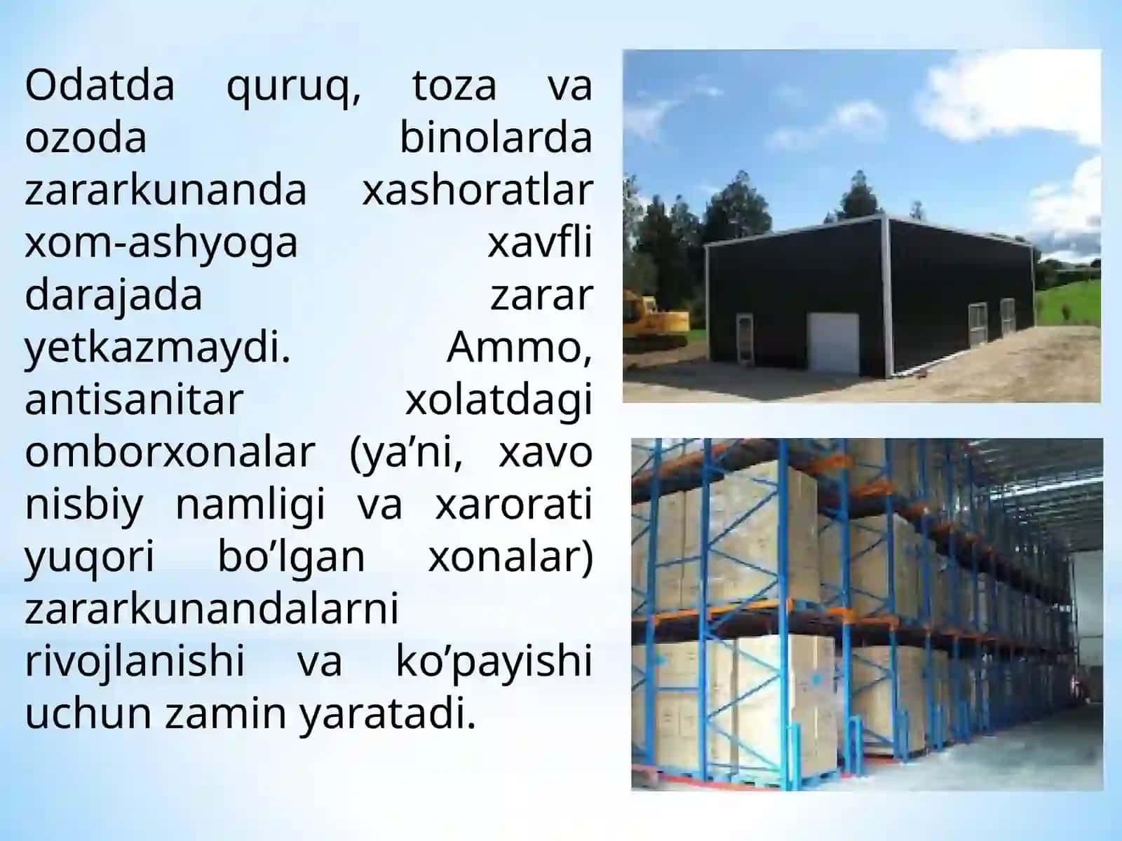 Dorivor Xom Ashyo Zararkunandalari va Ularga Qarshi Kurash Chora-Tadbirlari 3