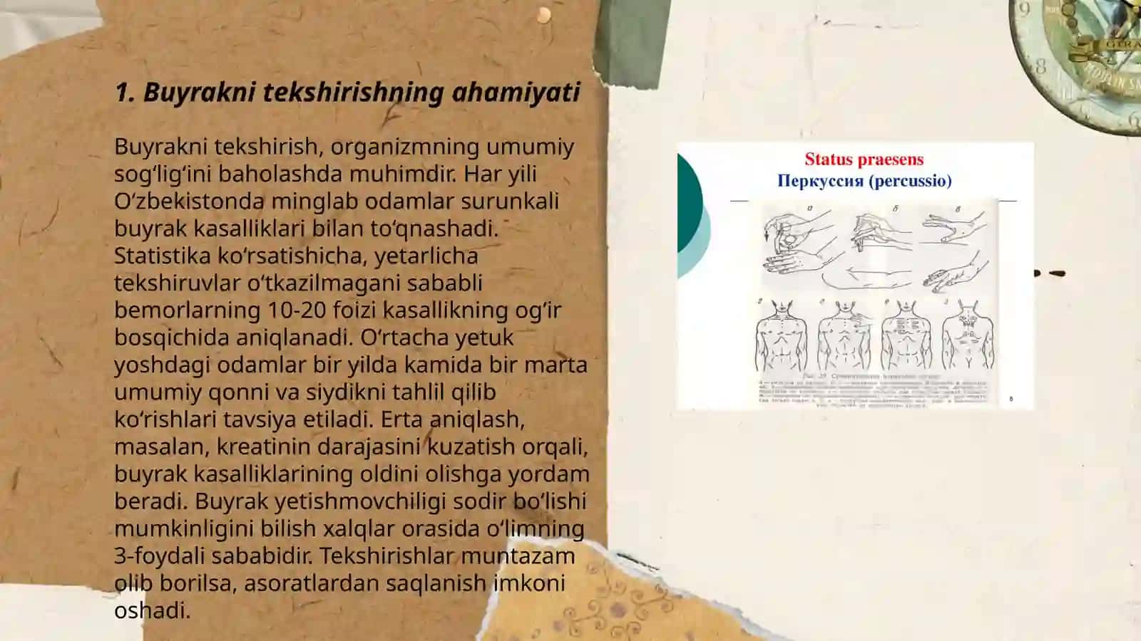 Buyrakning palpatsiyasi va perkussiyasi 3