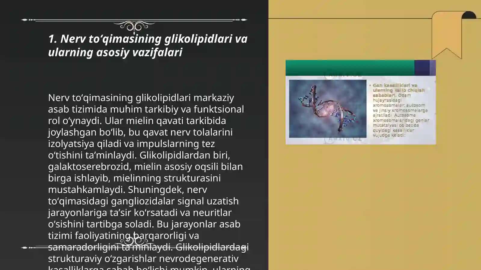Nerv toʻqimasining asosiy glikolipidlari ahamiyati 3