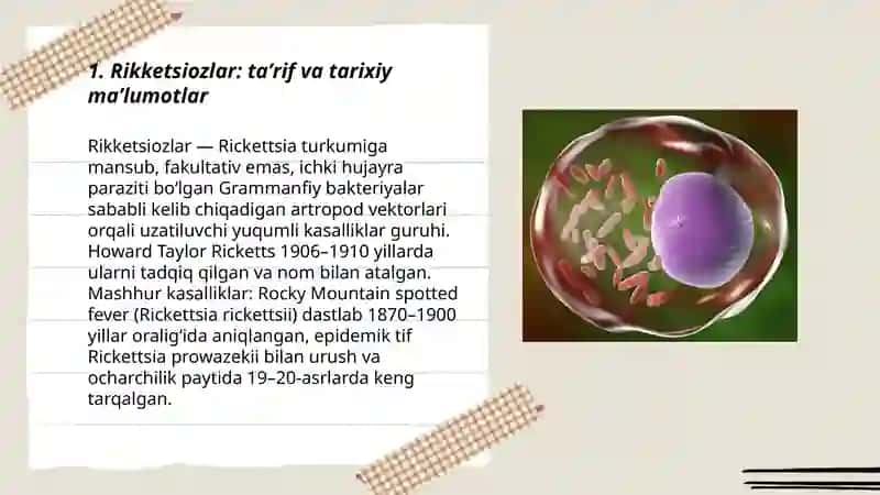 Rikketsiozlar. Etiologiya, epidemiologiya, klinikasi va davolash 3