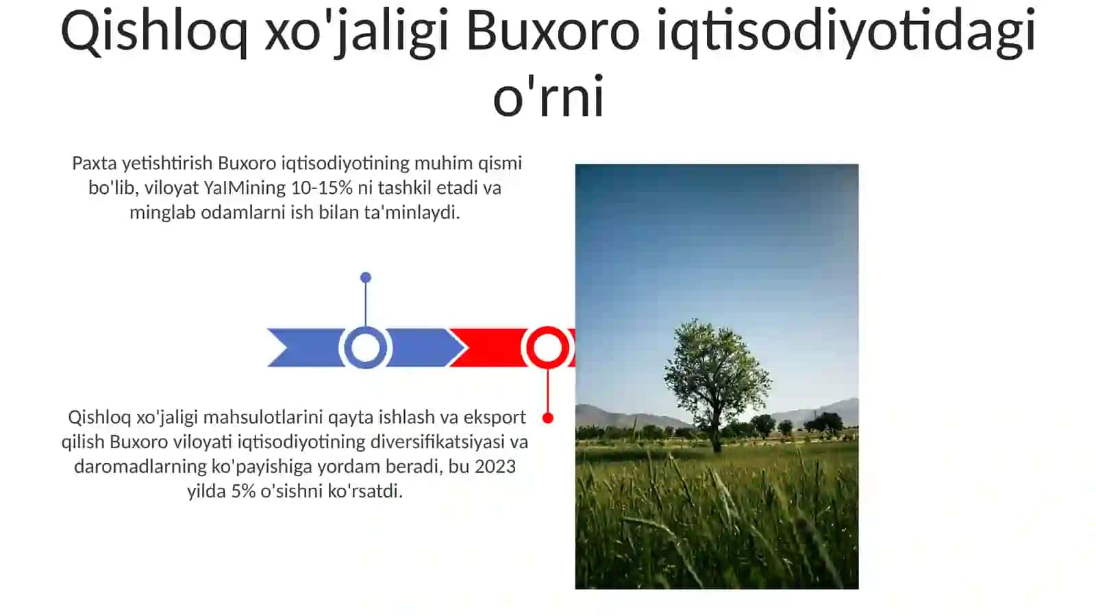 Iqlim oʻzgarishi Qishloq xoʻjaligiga ta'siri (Buxoro viloyati misolida) 3