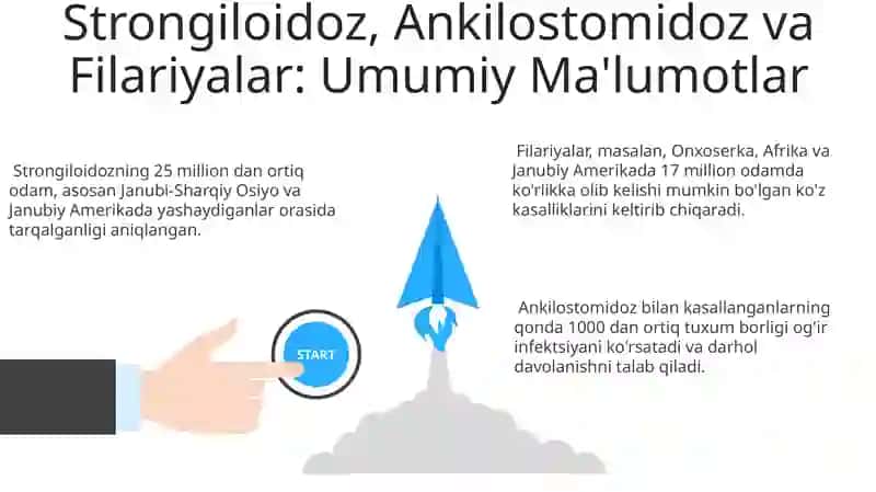 Strangloidlar qilsinon gijjalar tilyariyya, vuxerariya loa-loa. 3