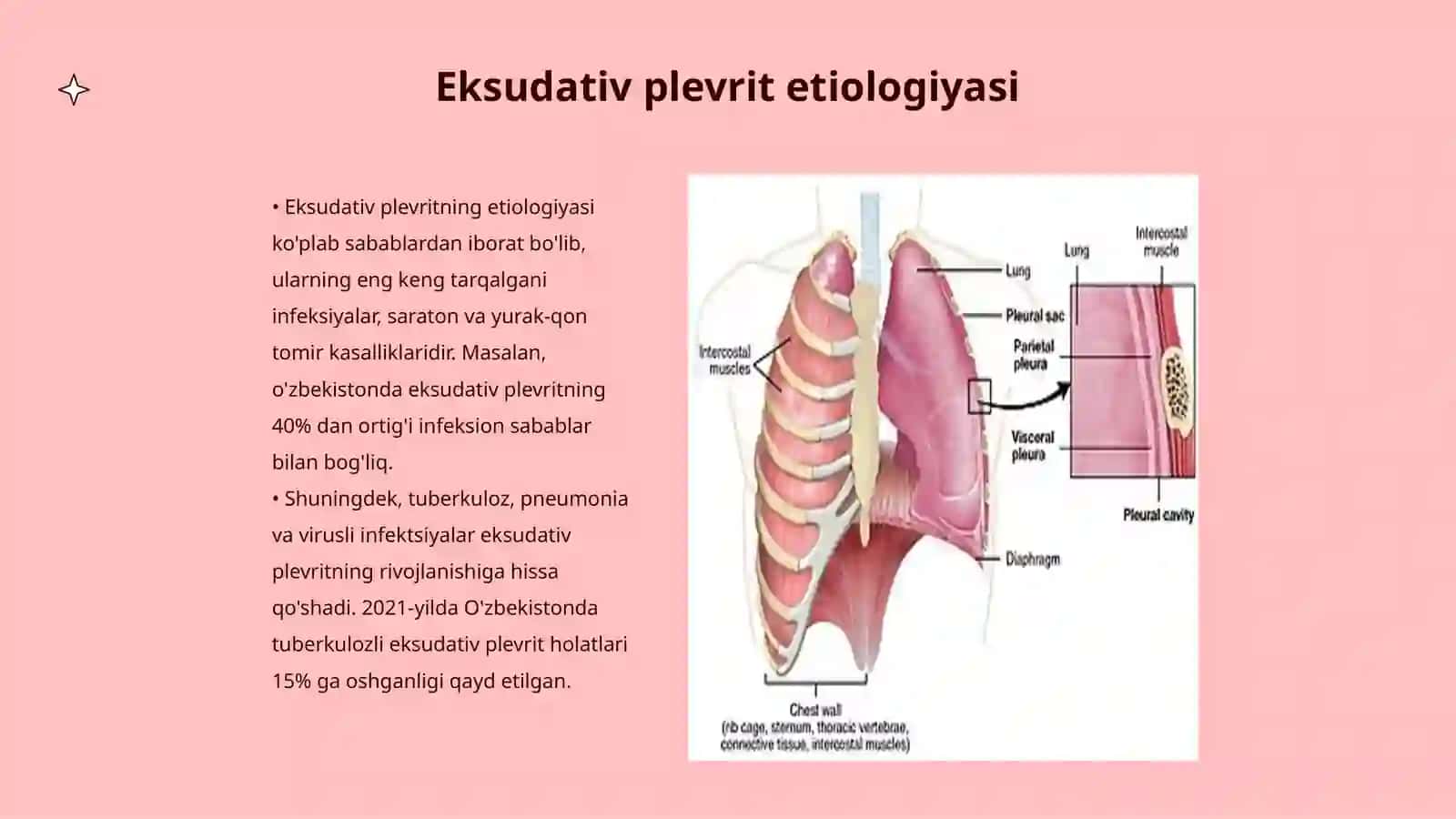 Eksudativ plevrit 3
