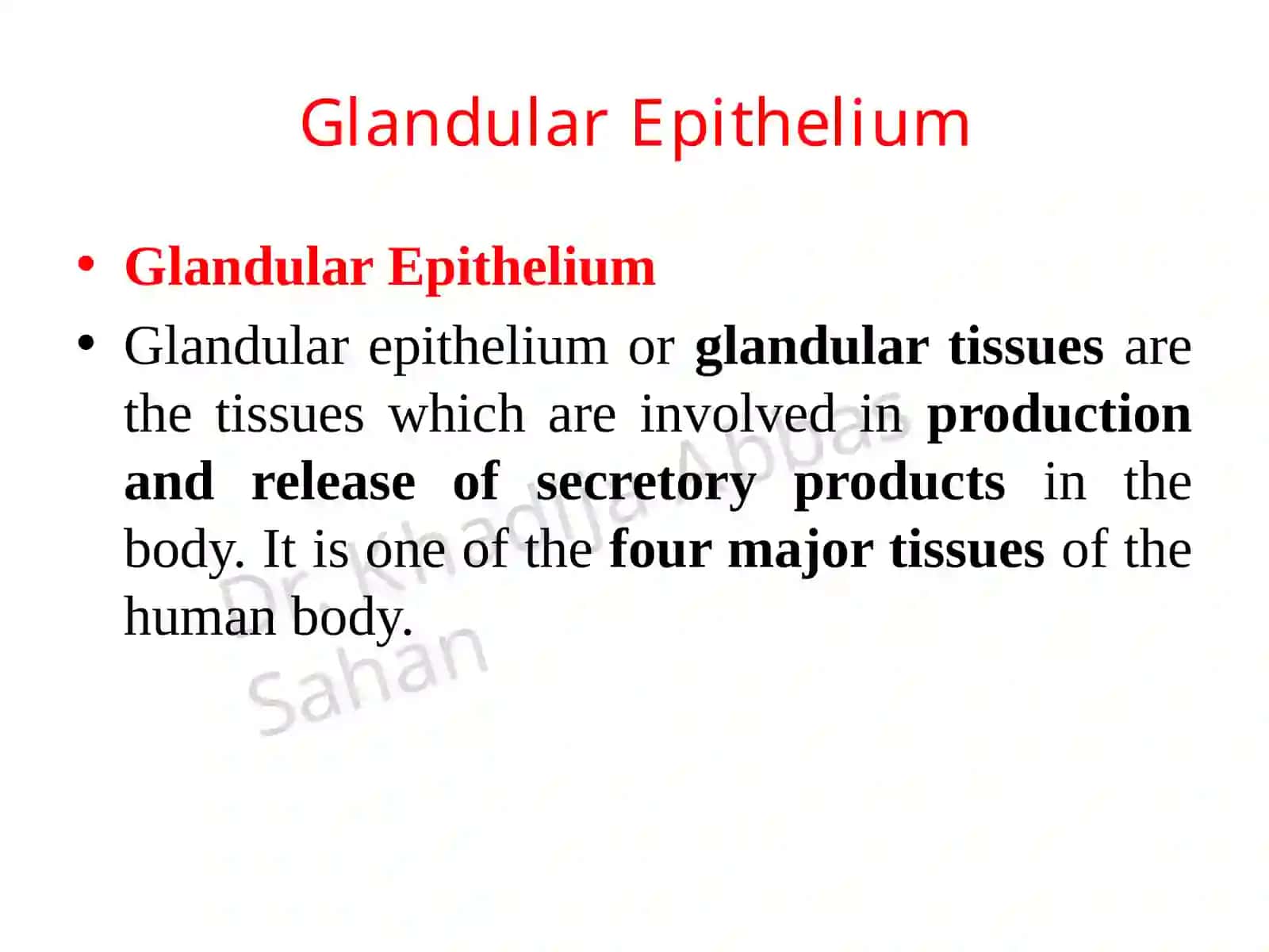 Glandular Epithelium 3