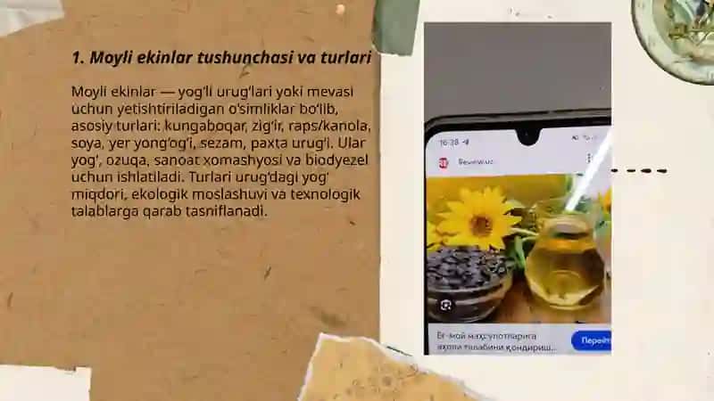 Moyli Ekinlar Biologiyasi 3