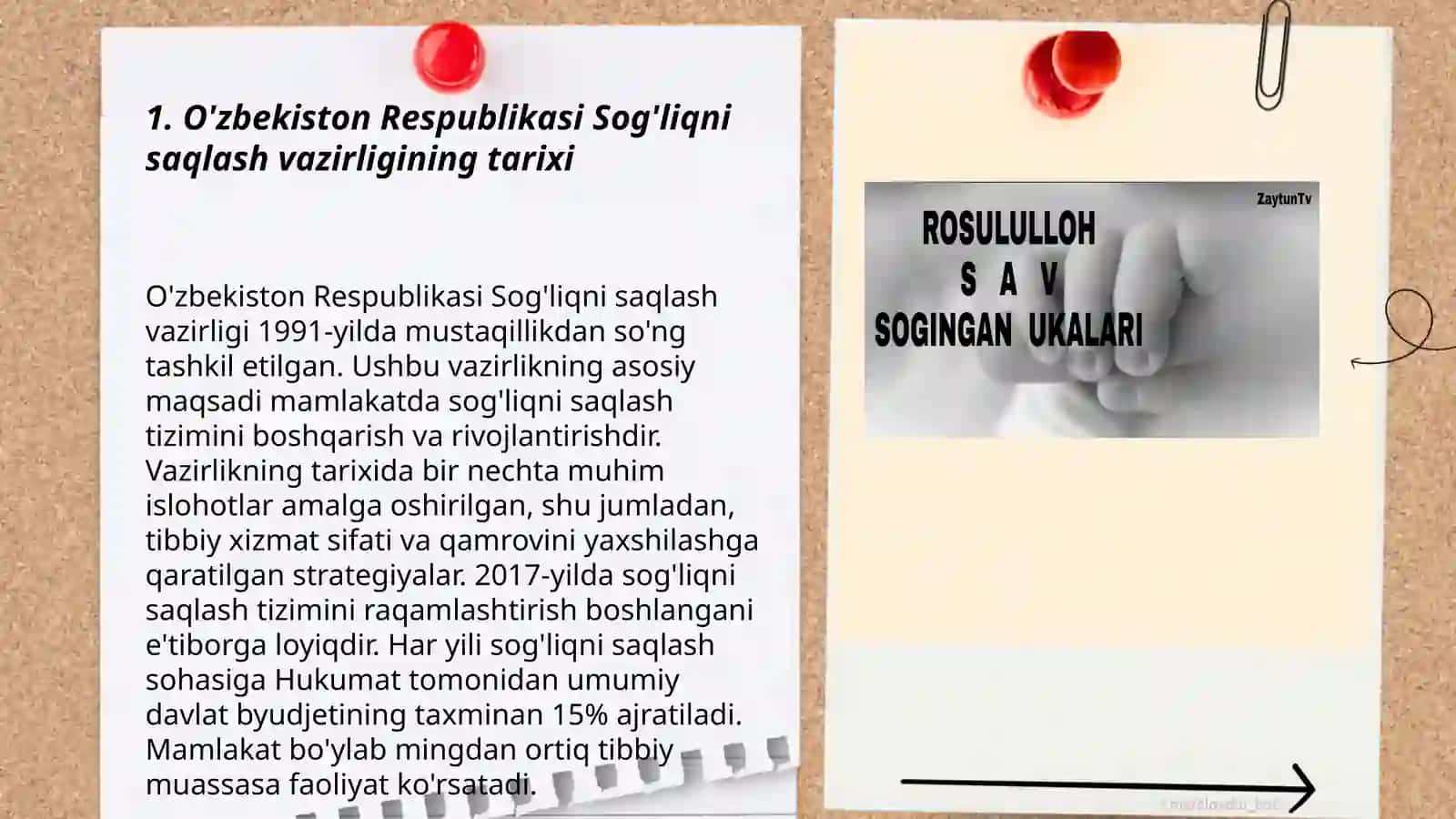 Ózbekiston Respublikasi sog'liqni saqlash vazirligi haqida ummumiy ma'lumot.Ruhiy kasalliklar haqida ma'lumot.Sog'liqni saqlash tizimi eng zõr rivojlangan davlatlar 3