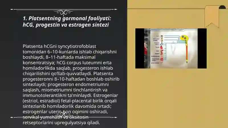 Platsenta, jigar va yuraklarning endokrin faoliyati 3