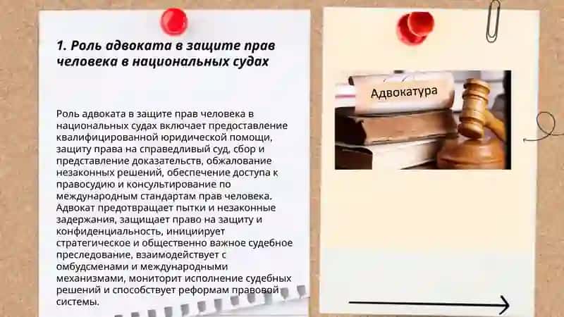Участие адвоката в делах, связанных с правами человека 3