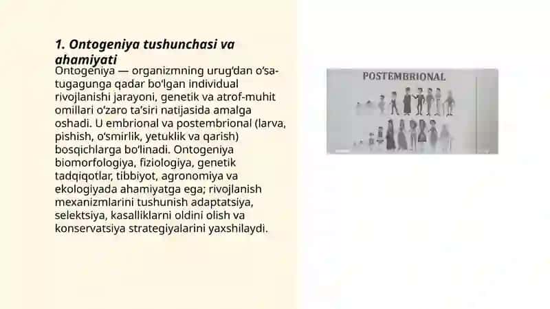 Ontogenizda organizmning rivojlanish bosqichlari 3