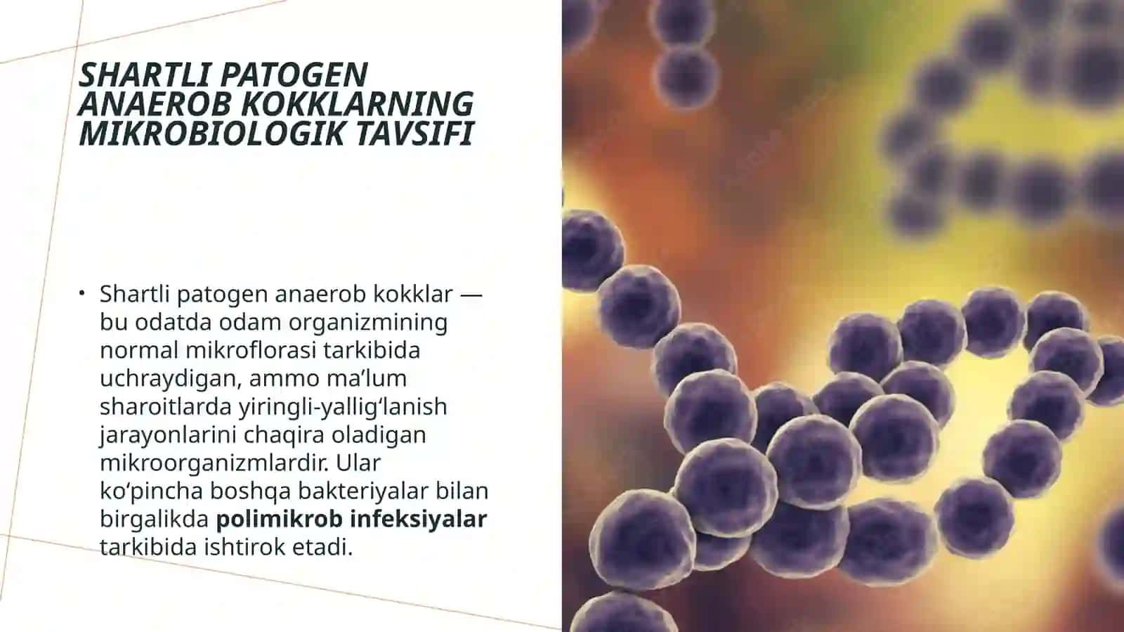 Shartli patogen anaerob kokklar laborator tashxisi 3
