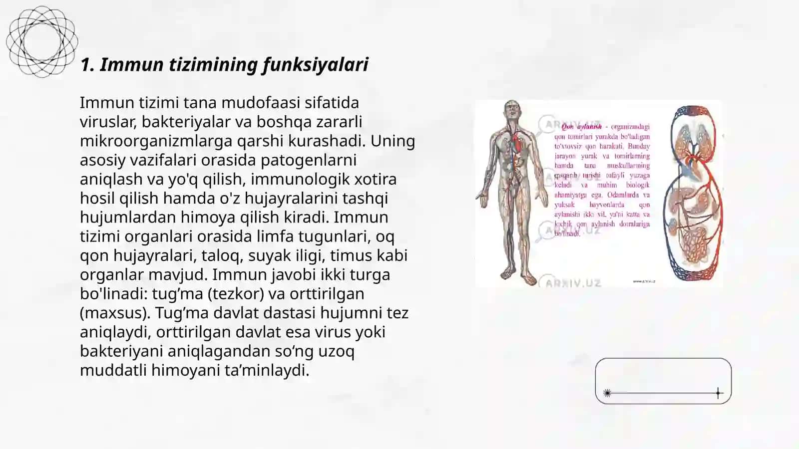 Immun tizimi va uning markaziy organlari 3