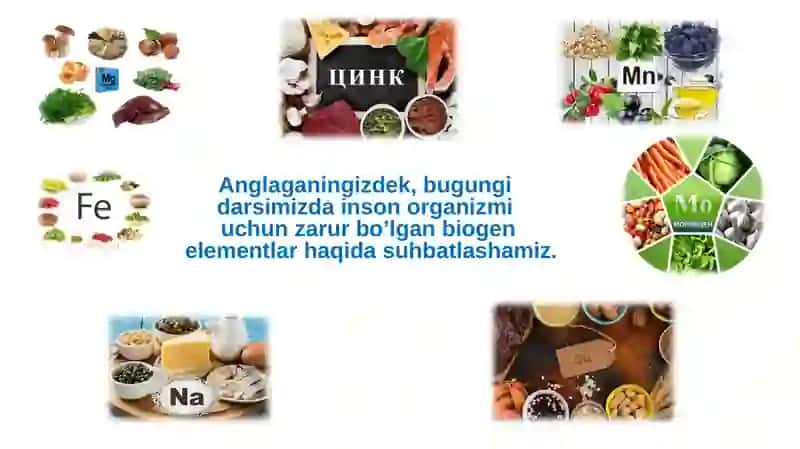 Biogenelementlar va ularning tirik organizmlar dagi axamiyati 3