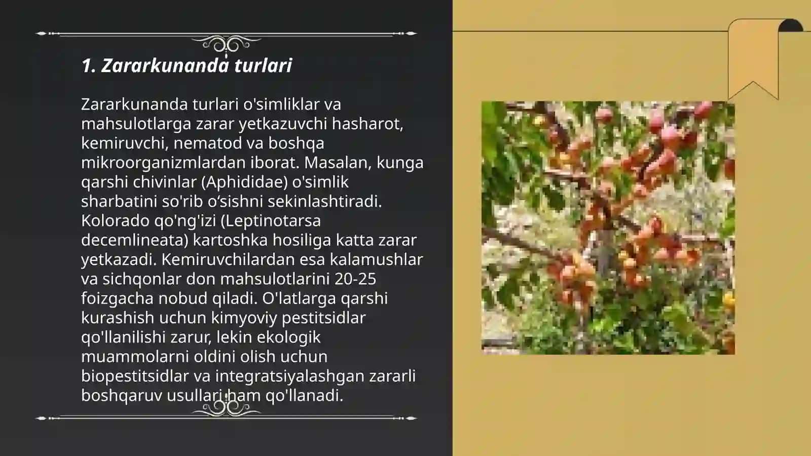Mevali daraxtlarga zarar yetkazuvchi hasharotlar 3