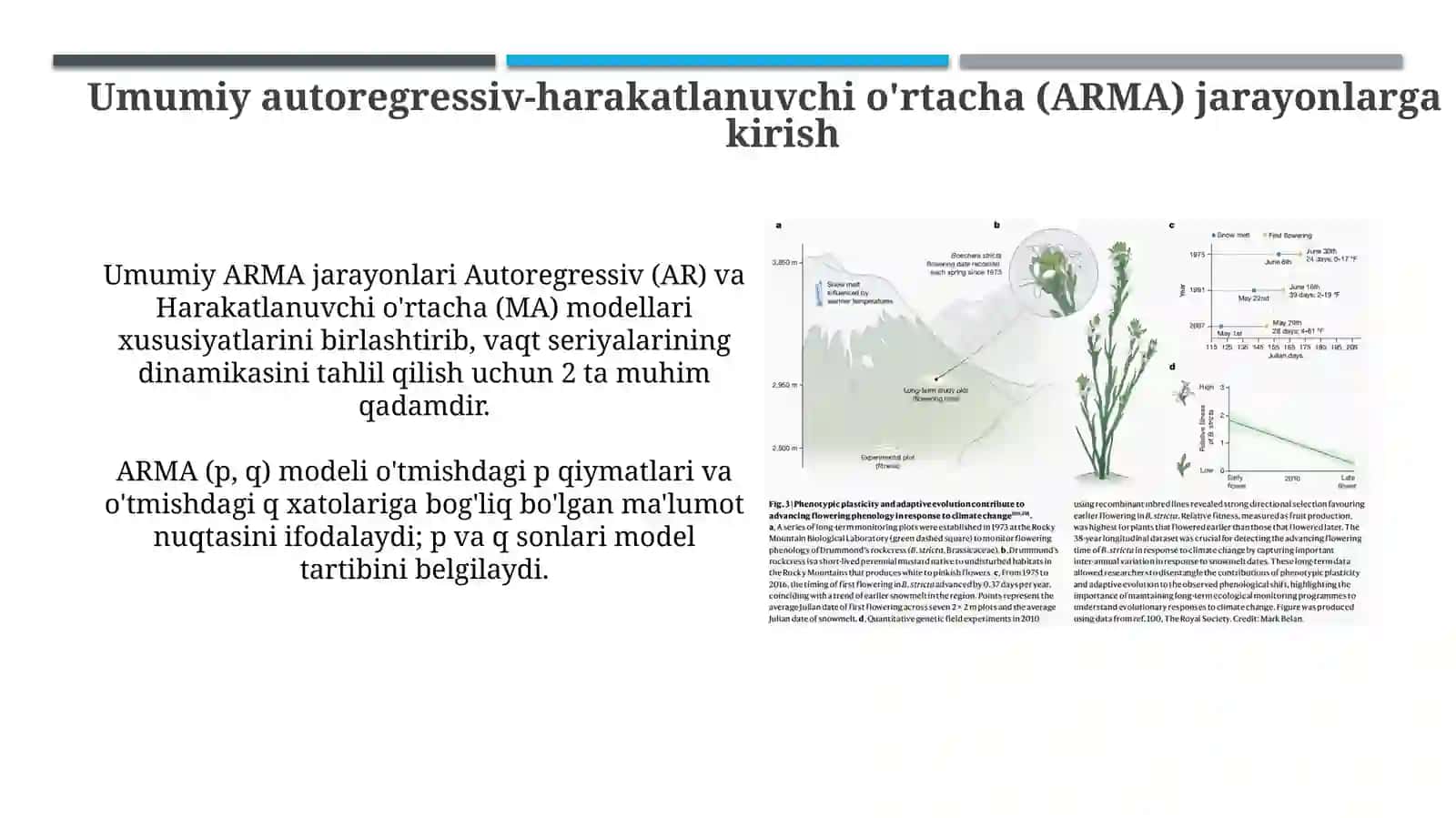 Umumiy avtoregressiv-sirg'aluvchi o'rtacha (ARMA) jarayonlar 3