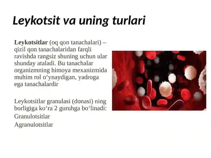 Leykotsitlar.Qonguruhlari.Rezusfaktor.Qonquyishasoslari 3