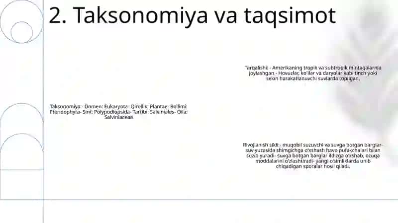 Suzuvchi Salviniyaning Taraqqiyot Sikli 3