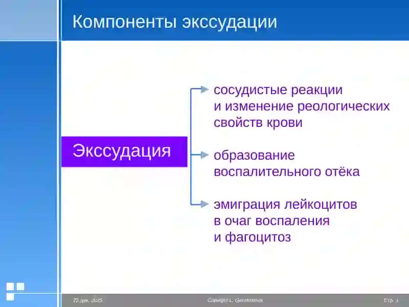 Экссудация Пролиферация Значение воспаления 3