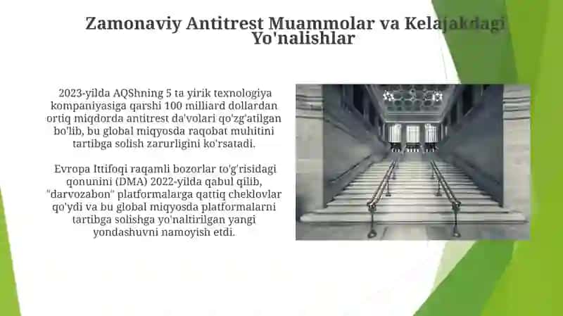Zamonaviy Antitrest Muammolar va Kelajakdagi Yo'nalishlar 3
