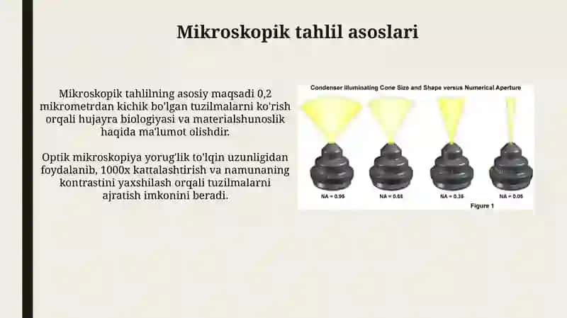 Mikroskopik tahlil asoslari 3