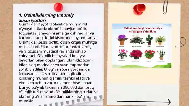 O'simlik turkumlari va ularning tabiiy joylashishlari 3