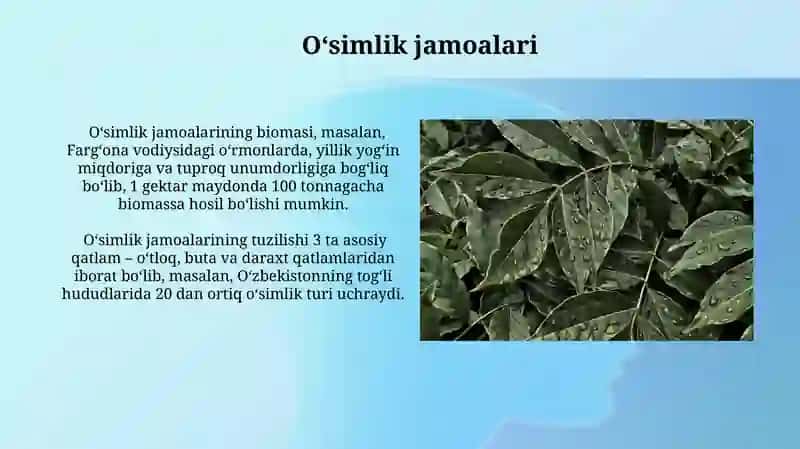Oʻsimliklar ekologiyasi asoslari 3