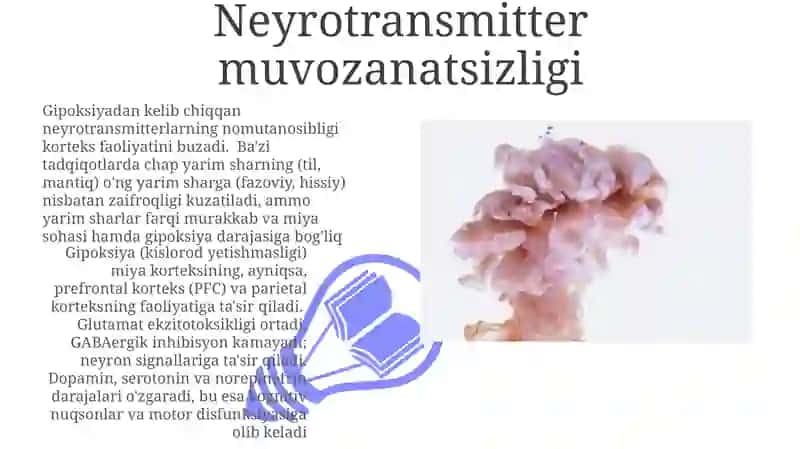 Bosh miya yarim sharlari po‘stlog‘ining gipoksiyaga reaktsiyasi 3