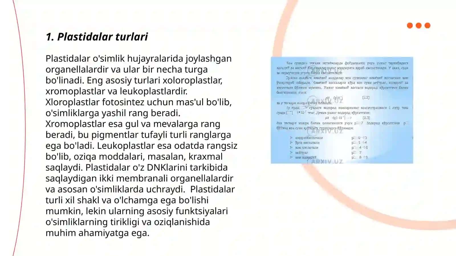 Plastidalar turlari va vazifalari 3