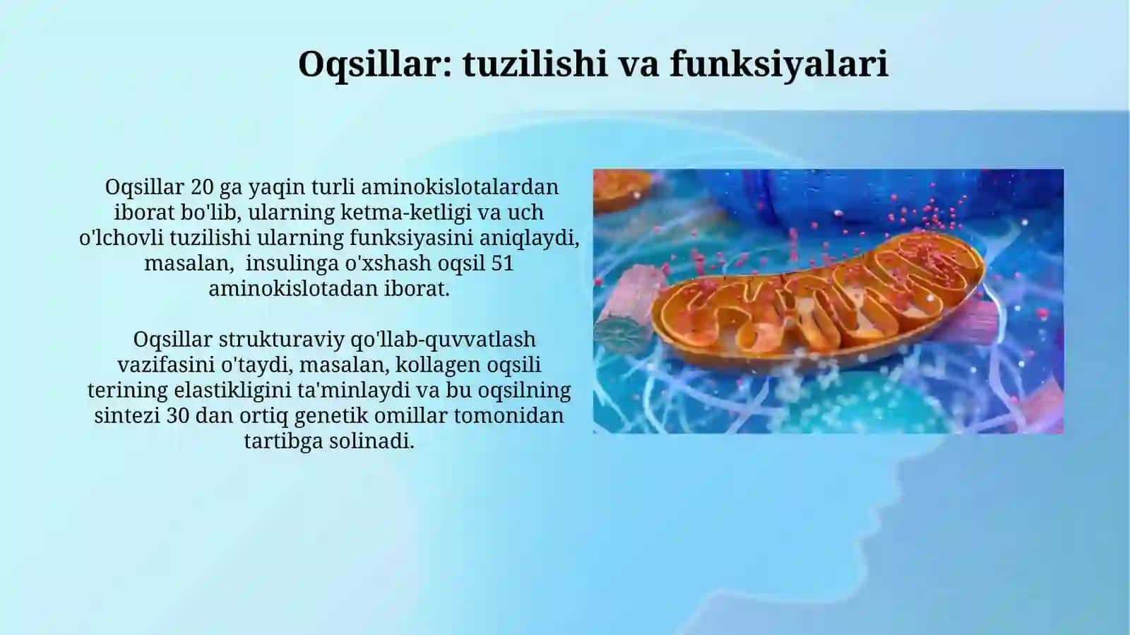 Aminokislatalar va Oqsillar 3