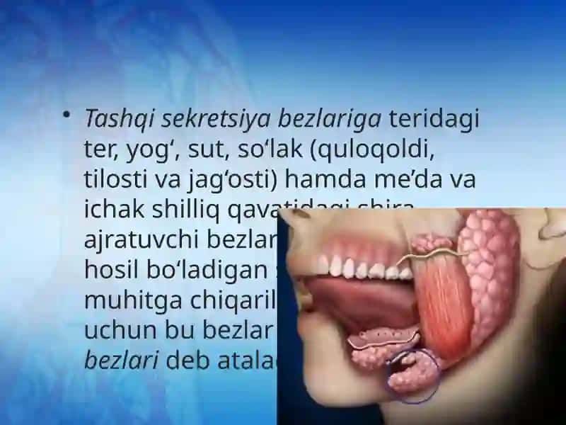 Odam va uning salomatligi darsligi 3