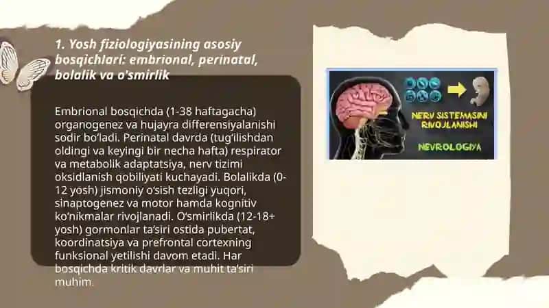 Yosh fiziologiyasi, irsiyat va nerv tizimi 3