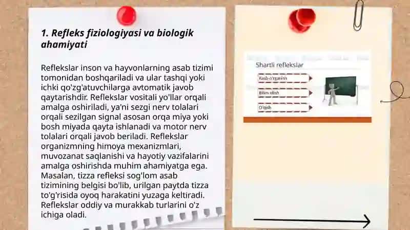 Biologik ahamiyatiga ko'ra reflekslarning turlari 3