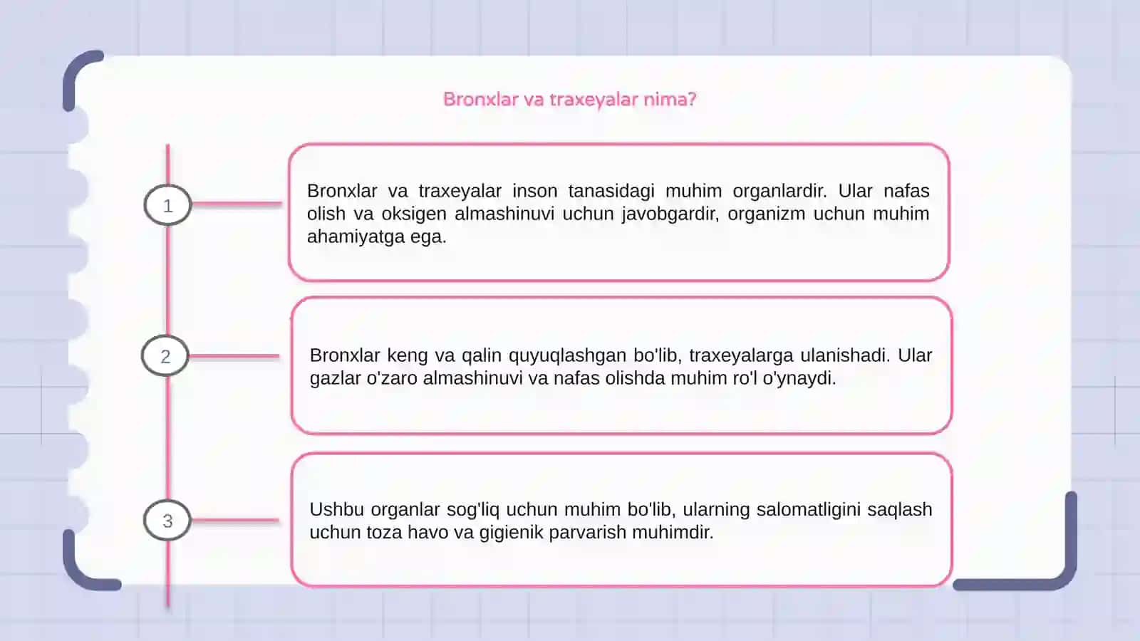 Bronxlar va traxeyalar haqida umumiy tushuncha 3