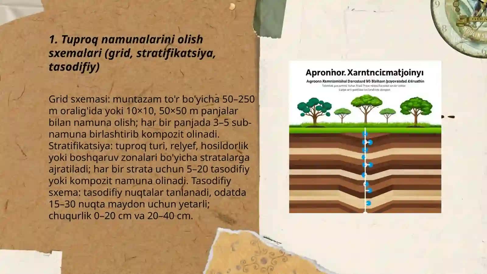 Agrokimyoviy xaritanoma tuzish uchun tuproq namunalarini olish 3