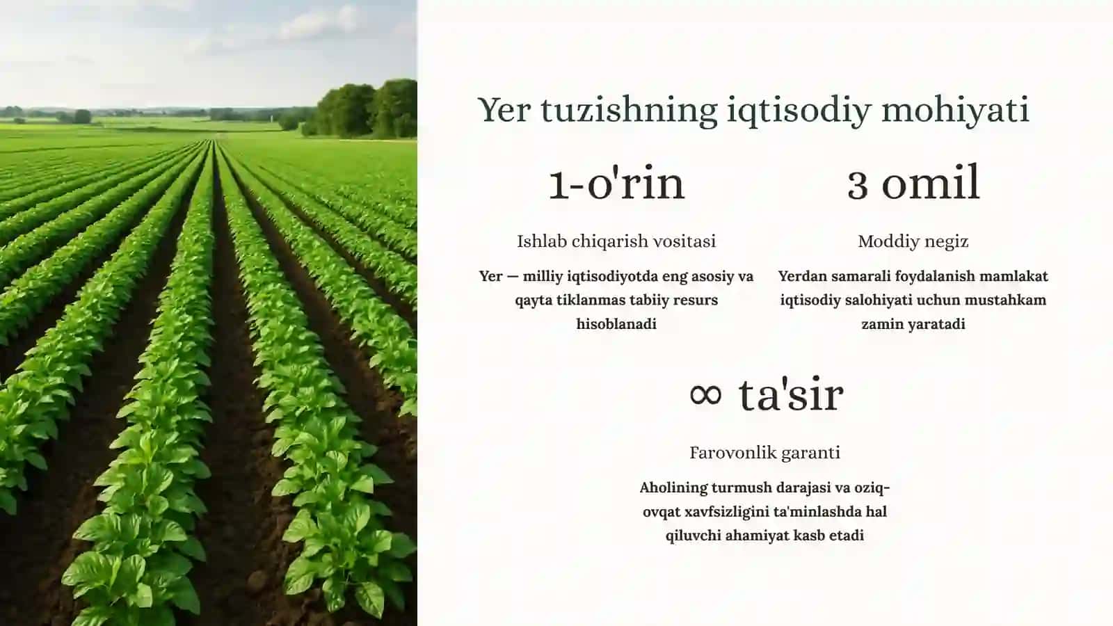 Yer tuzish: Mamlakat taraqqiyotining muhim omili 3