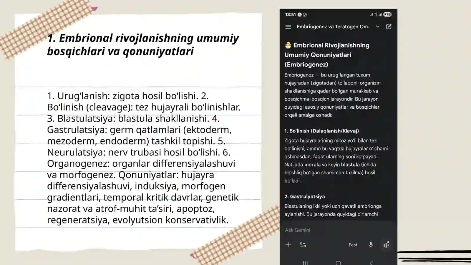 Embrional rivojlanishning umumiy bosqichlari va qonuniyatlari 3