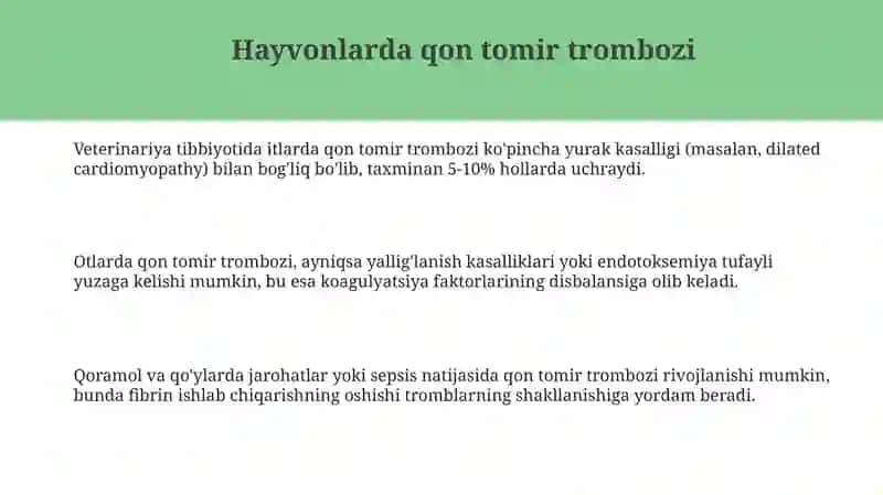 Hayvonlarda qon tomir trombozi 3