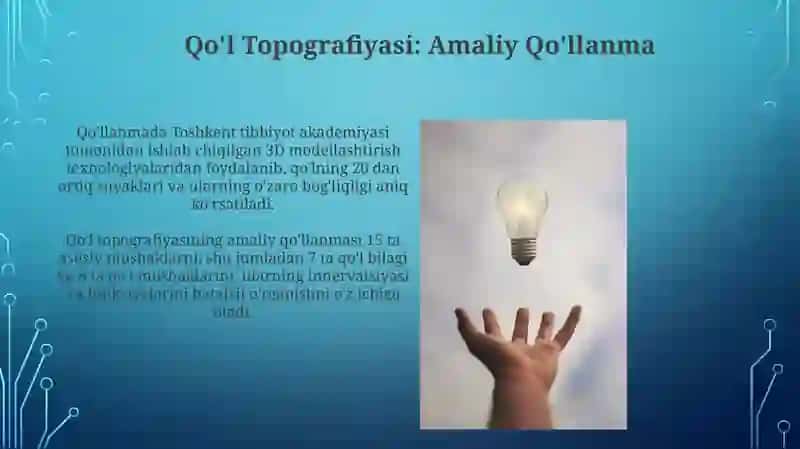 Yelka, Bilak va Qoʻl Mushaklari va Fasiyasi 3