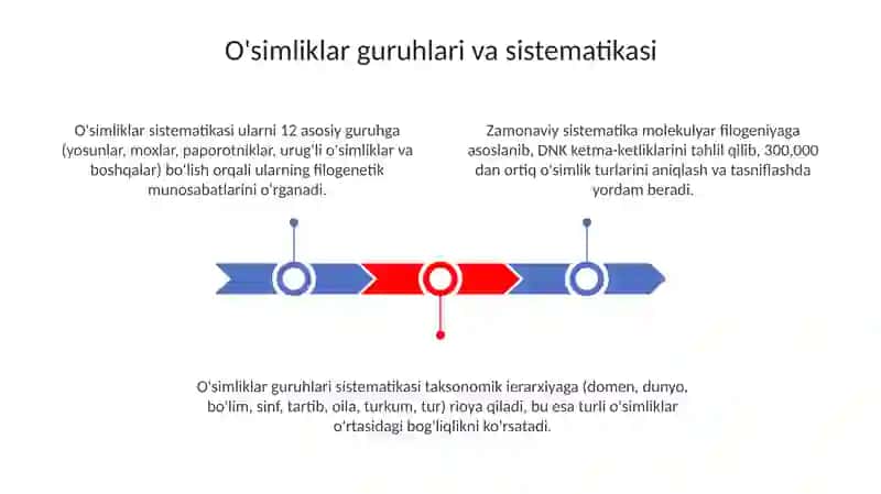 O'simlik turkumlari va ularning tabiiy joylashishlari 3