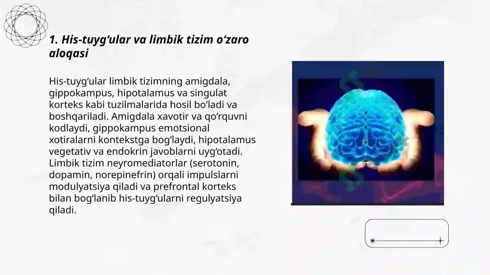Psixik jarayonlar va miyaning o'zaro aloqadorligi 3