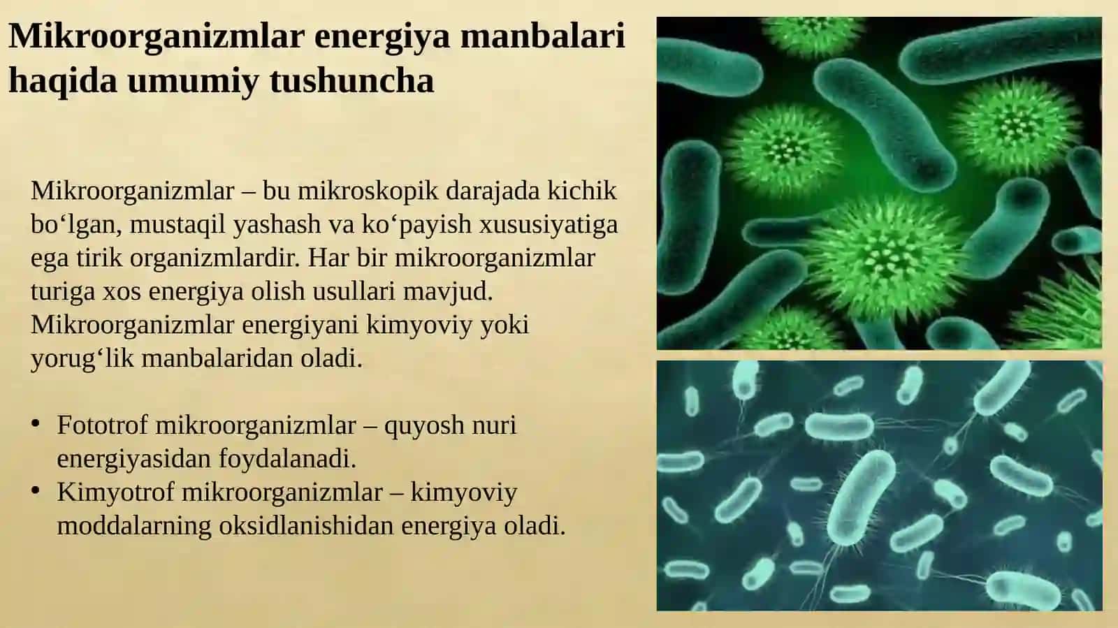 Mikroorganizmlartomonidanenergiyaolishusullari.Hujayraenergiyasiningshakllarivahosilbo'lishusullari 3