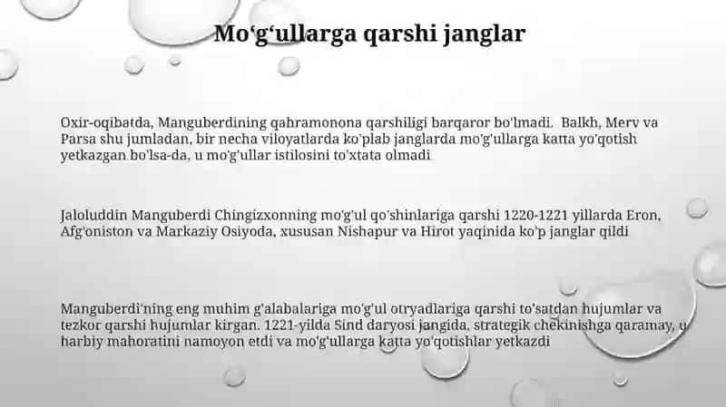 Jaloliddin Manguberdi Vatan Himoyachisi 3