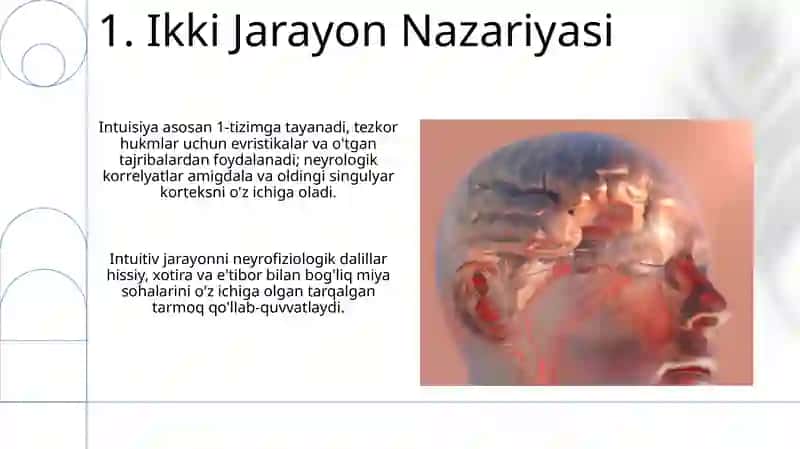 Sezgilar haqida umumiy tushunchalar va uning nerv fiziologik asoslar 3