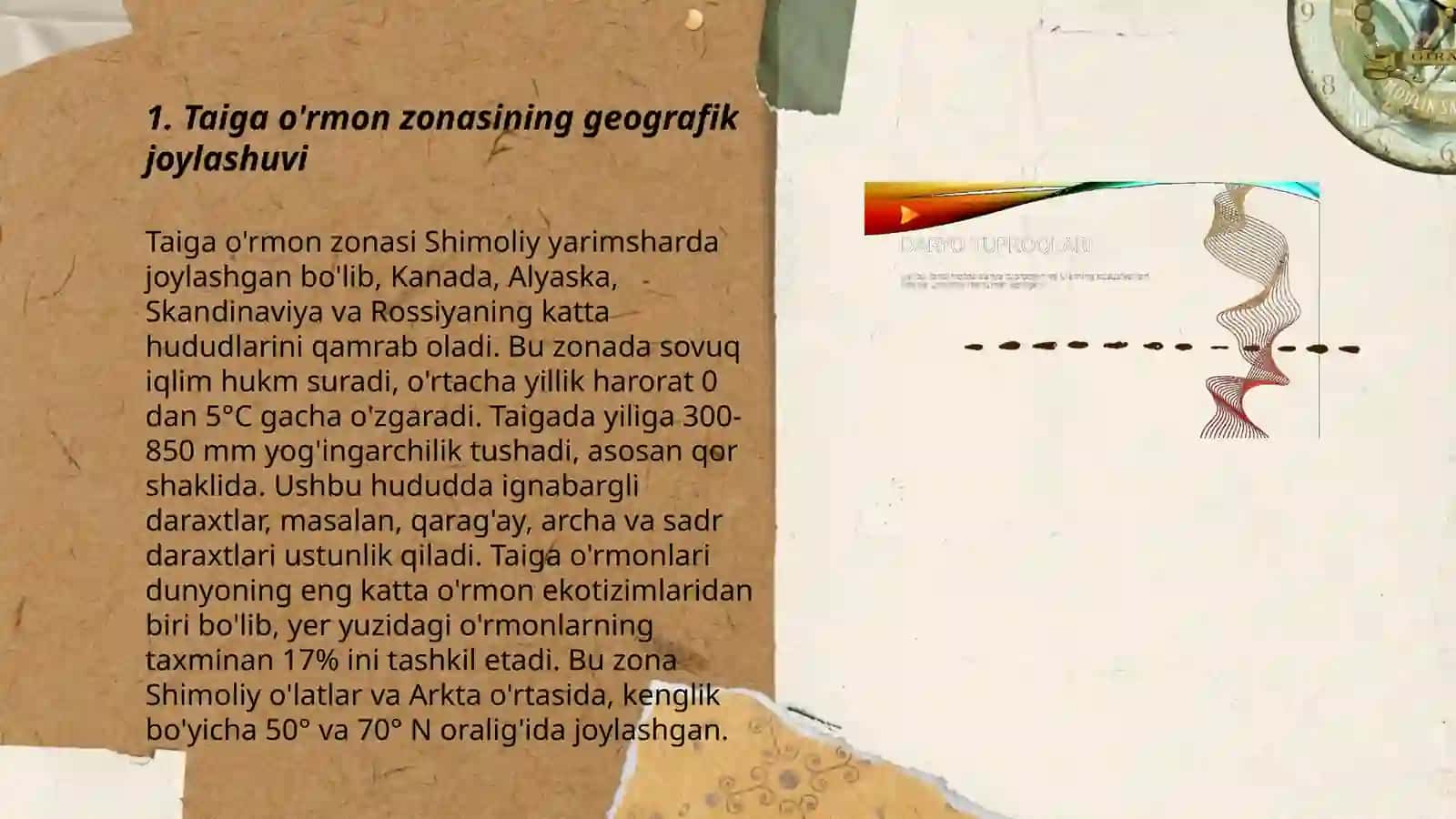 Tayga o'rmon zonasining tuproqlari 3