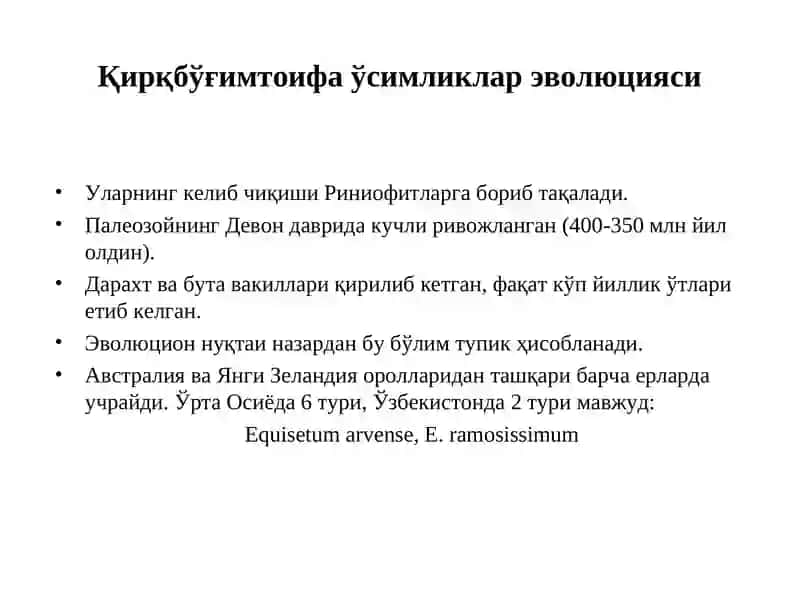 Қирқбўғимтоифа ўсимликлар (Equisetophyta) бўлими 3