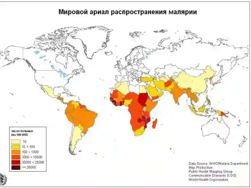 Bezgak kasalligi qozg'atuvchisi,epidemiologiyasi,patogenizi,klinikasi,davolash va oldini olish 3