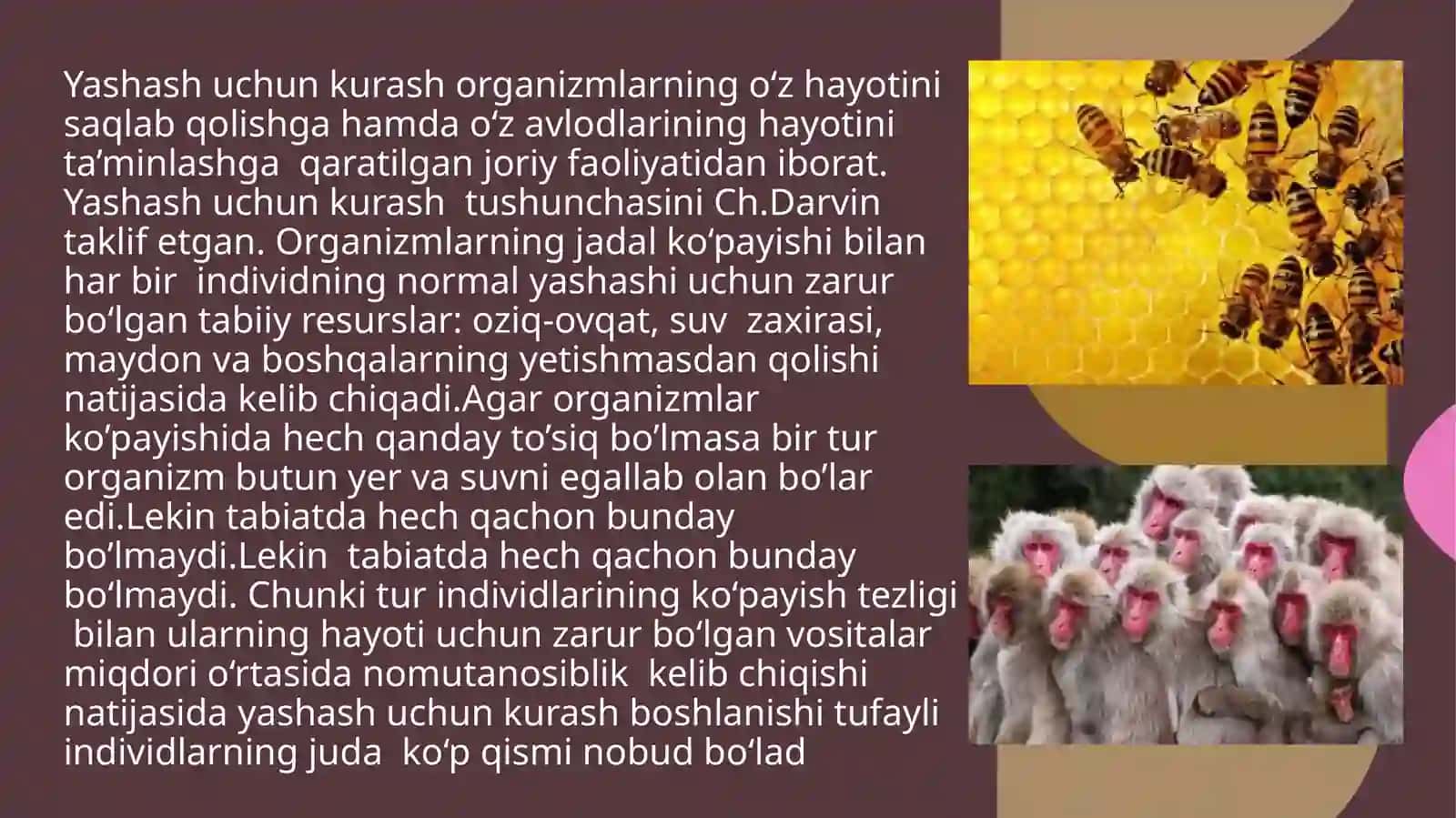 YASHASH UCHUN KURASH VA TABIIY TANLANISHNI TAJRIBADA O‘RGANISH 3
